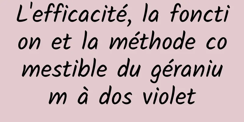 L'efficacité, la fonction et la méthode comestible du géranium à dos violet