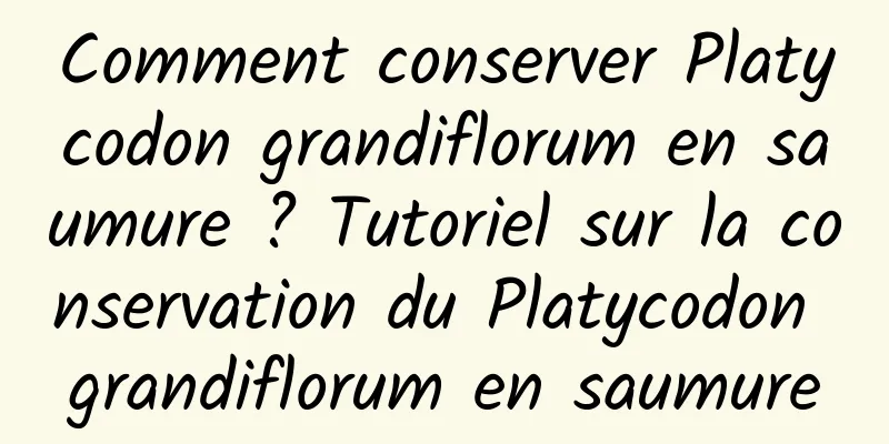 Comment conserver Platycodon grandiflorum en saumure ? Tutoriel sur la conservation du Platycodon grandiflorum en saumure