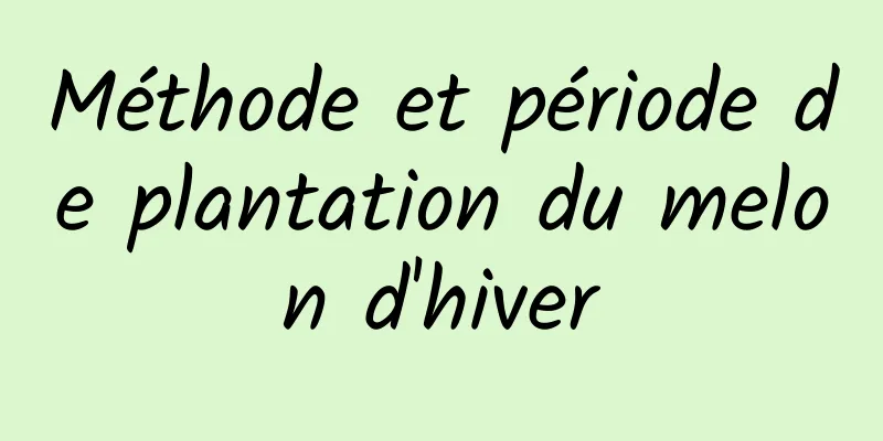 Méthode et période de plantation du melon d'hiver