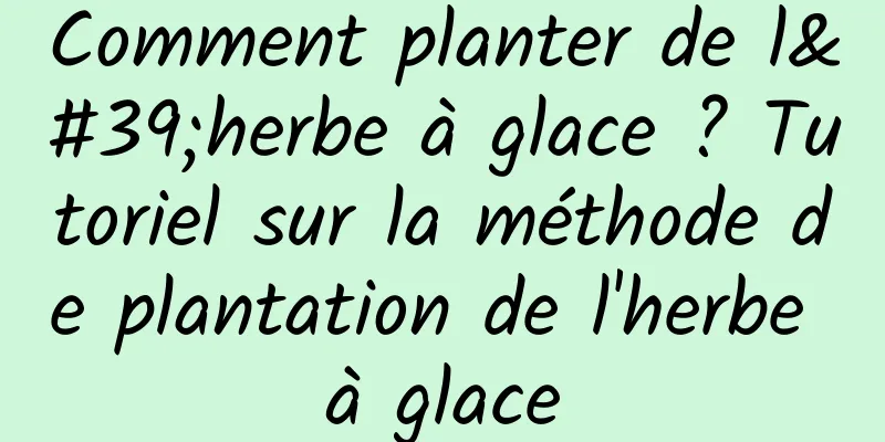 Comment planter de l'herbe à glace ? Tutoriel sur la méthode de plantation de l'herbe à glace