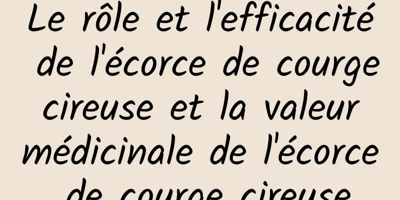 Le rôle et l'efficacité de l'écorce de courge cireuse et la valeur médicinale de l'écorce de courge cireuse