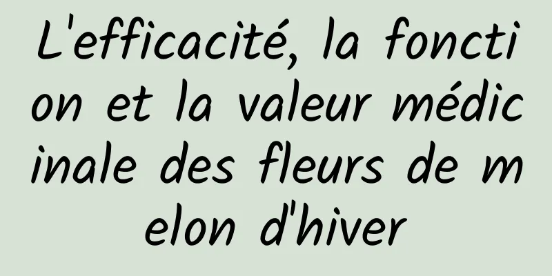 L'efficacité, la fonction et la valeur médicinale des fleurs de melon d'hiver