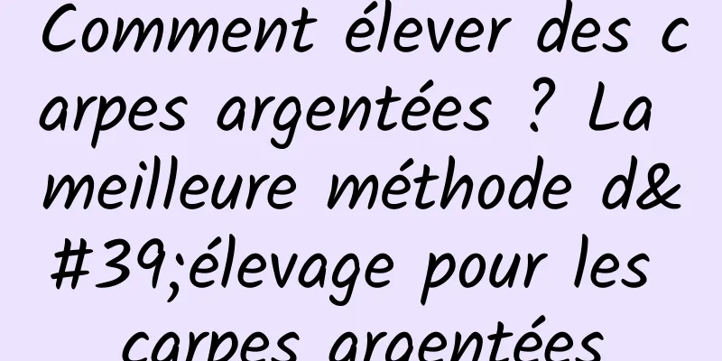 Comment élever des carpes argentées ? La meilleure méthode d'élevage pour les carpes argentées