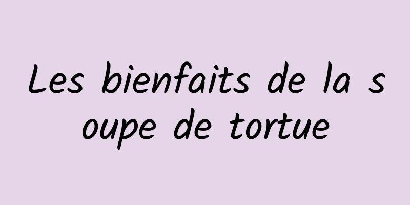 Les bienfaits de la soupe de tortue