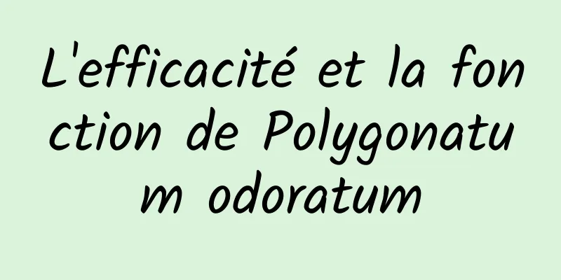 L'efficacité et la fonction de Polygonatum odoratum