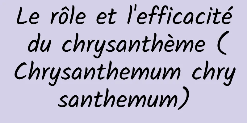 Le rôle et l'efficacité du chrysanthème (Chrysanthemum chrysanthemum)