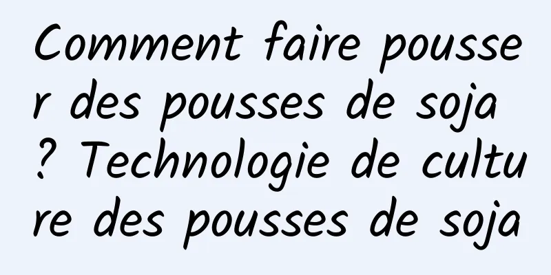 Comment faire pousser des pousses de soja ? Technologie de culture des pousses de soja