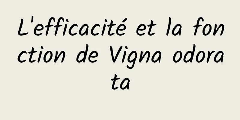 L'efficacité et la fonction de Vigna odorata