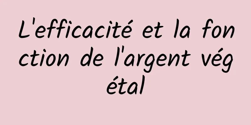 L'efficacité et la fonction de l'argent végétal