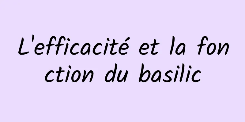 L'efficacité et la fonction du basilic