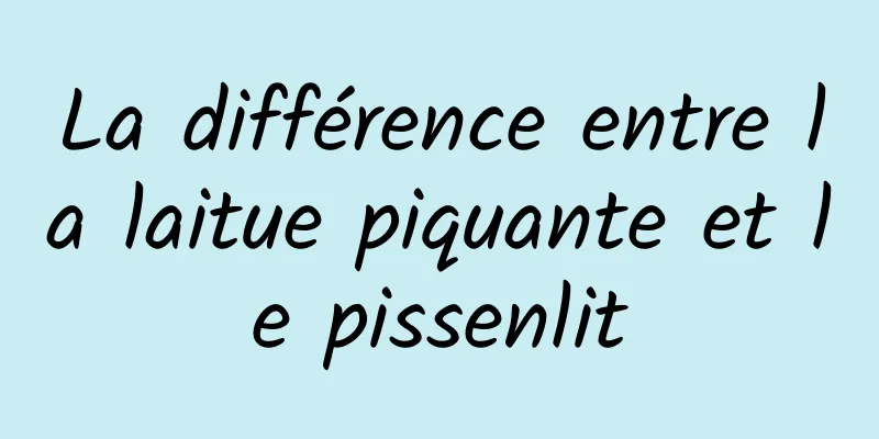 La différence entre la laitue piquante et le pissenlit