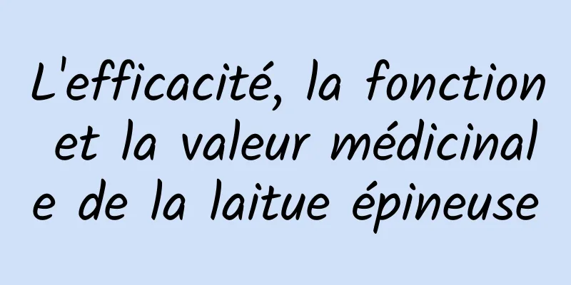 L'efficacité, la fonction et la valeur médicinale de la laitue épineuse