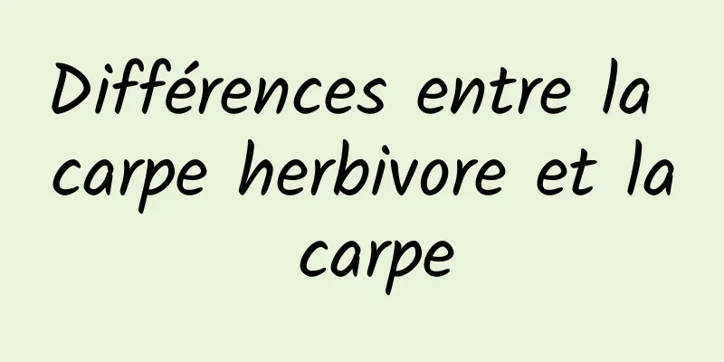 Différences entre la carpe herbivore et la carpe