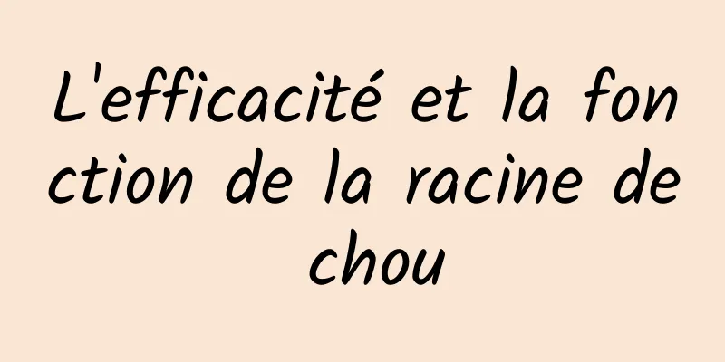 L'efficacité et la fonction de la racine de chou