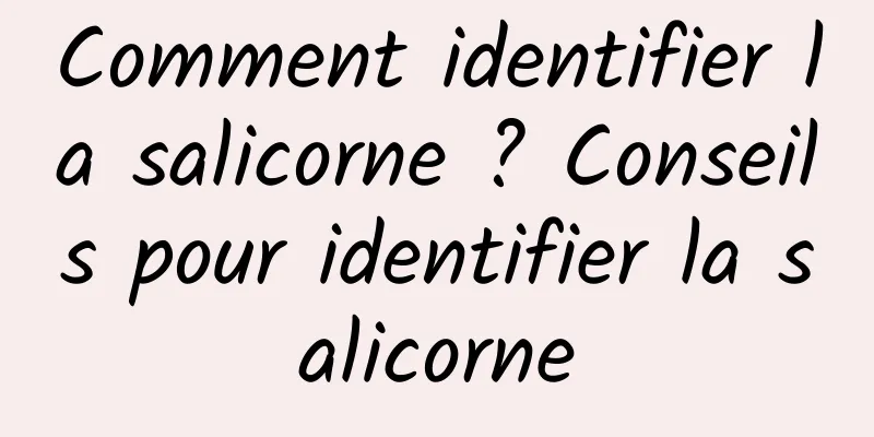 Comment identifier la salicorne ? Conseils pour identifier la salicorne