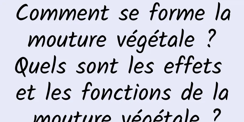 Comment se forme la mouture végétale ? Quels sont les effets et les fonctions de la mouture végétale ?