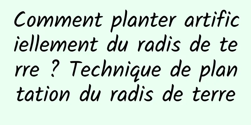 Comment planter artificiellement du radis de terre ? Technique de plantation du radis de terre