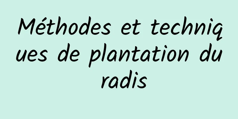 Méthodes et techniques de plantation du radis