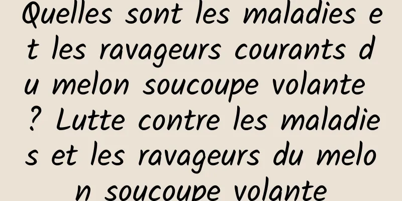 Quelles sont les maladies et les ravageurs courants du melon soucoupe volante ? Lutte contre les maladies et les ravageurs du melon soucoupe volante