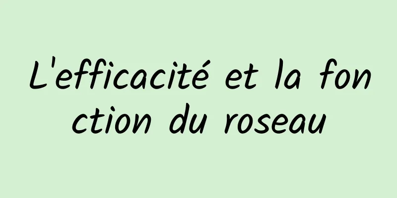 L'efficacité et la fonction du roseau