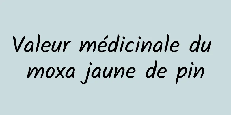 Valeur médicinale du moxa jaune de pin