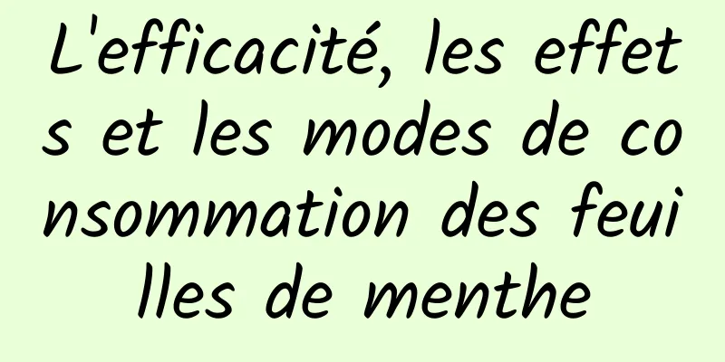 L'efficacité, les effets et les modes de consommation des feuilles de menthe