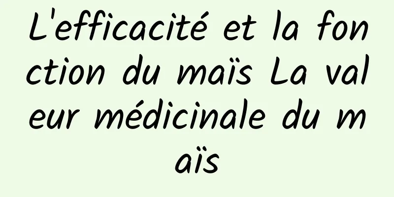 L'efficacité et la fonction du maïs La valeur médicinale du maïs