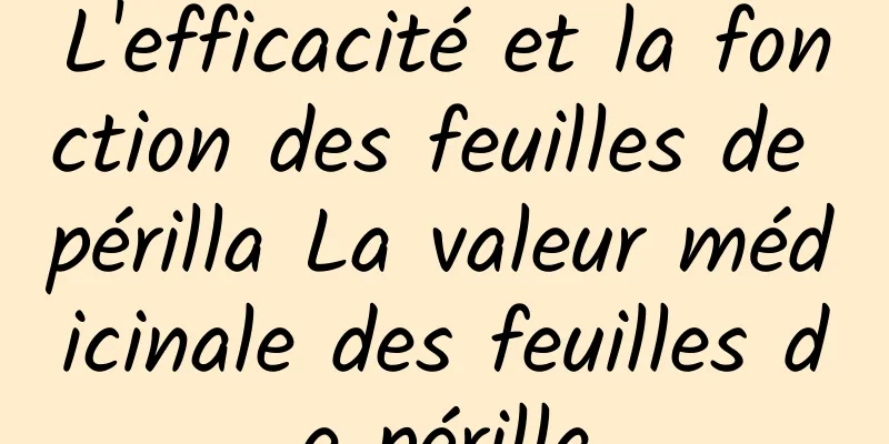 L'efficacité et la fonction des feuilles de périlla La valeur médicinale des feuilles de périlla