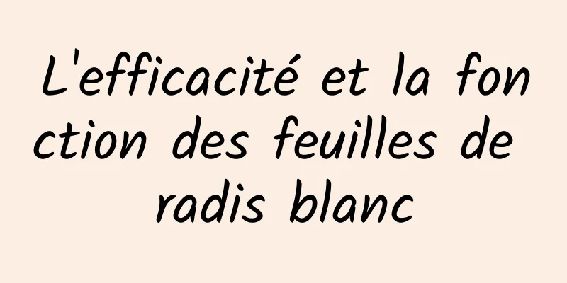 L'efficacité et la fonction des feuilles de radis blanc