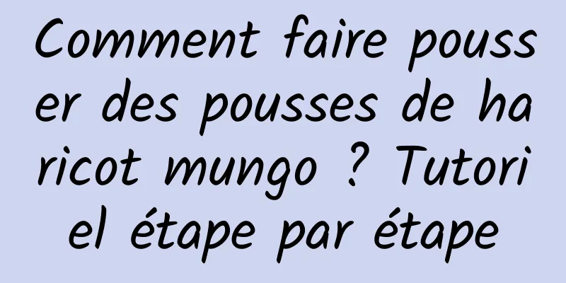 Comment faire pousser des pousses de haricot mungo ? Tutoriel étape par étape