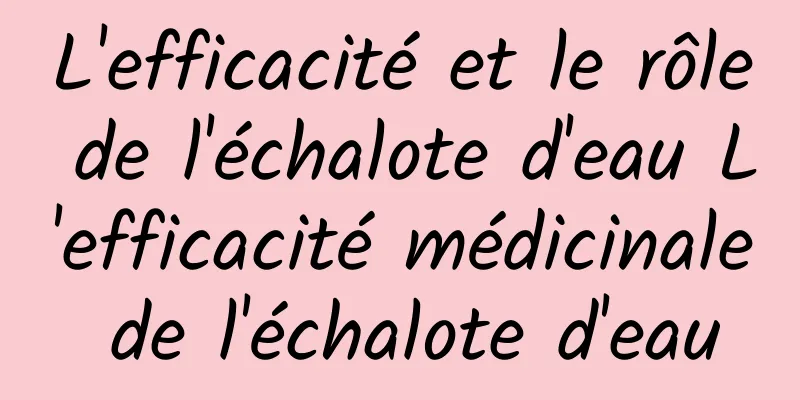 L'efficacité et le rôle de l'échalote d'eau L'efficacité médicinale de l'échalote d'eau