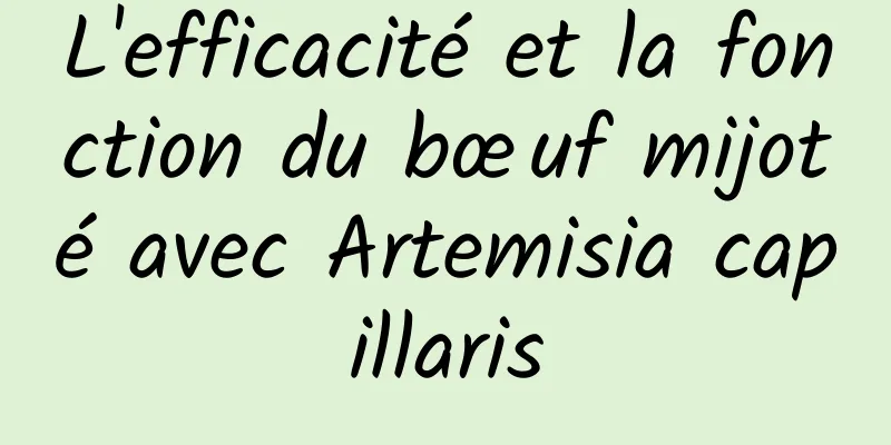 L'efficacité et la fonction du bœuf mijoté avec Artemisia capillaris