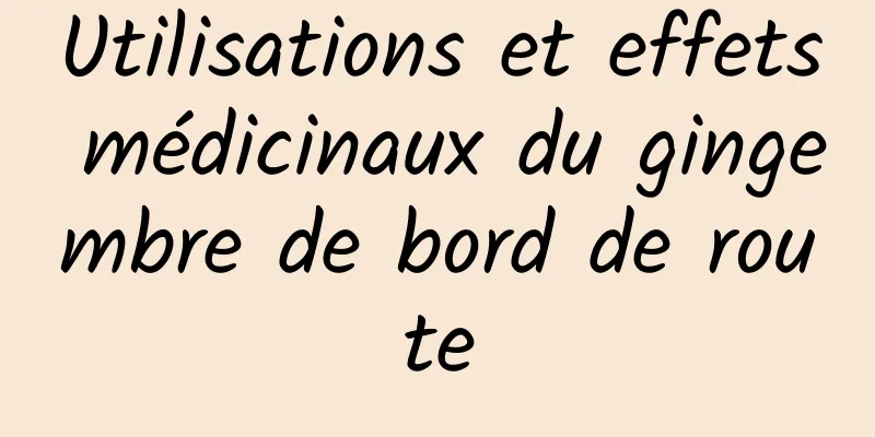 Utilisations et effets médicinaux du gingembre de bord de route