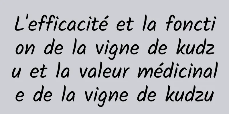 L'efficacité et la fonction de la vigne de kudzu et la valeur médicinale de la vigne de kudzu