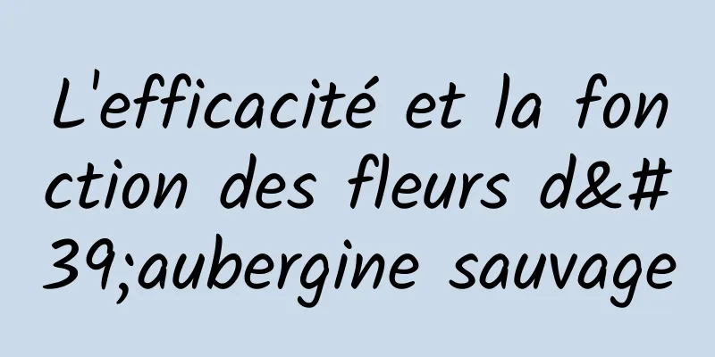 L'efficacité et la fonction des fleurs d'aubergine sauvage