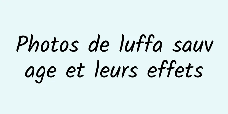 Photos de luffa sauvage et leurs effets