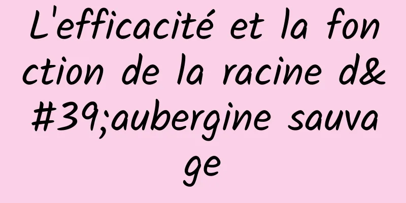 L'efficacité et la fonction de la racine d'aubergine sauvage