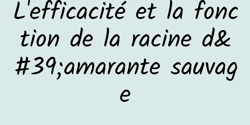 L'efficacité et la fonction de la racine d'amarante sauvage