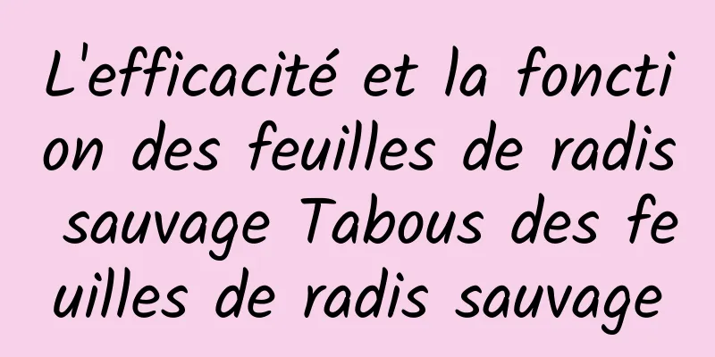 L'efficacité et la fonction des feuilles de radis sauvage Tabous des feuilles de radis sauvage