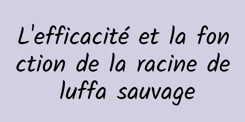 L'efficacité et la fonction de la racine de luffa sauvage