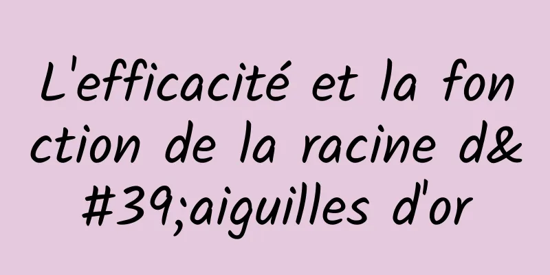 L'efficacité et la fonction de la racine d'aiguilles d'or