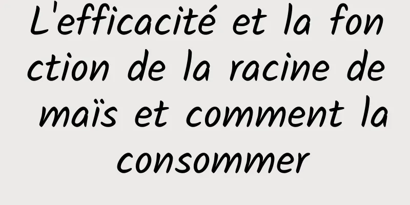 L'efficacité et la fonction de la racine de maïs et comment la consommer