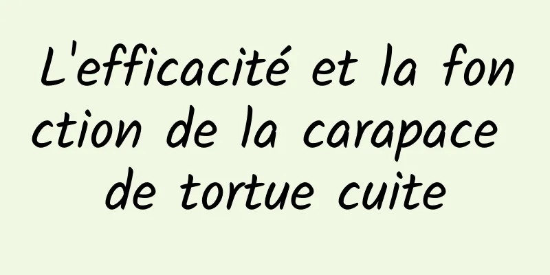 L'efficacité et la fonction de la carapace de tortue cuite