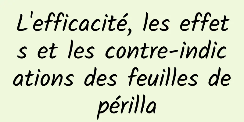 L'efficacité, les effets et les contre-indications des feuilles de périlla