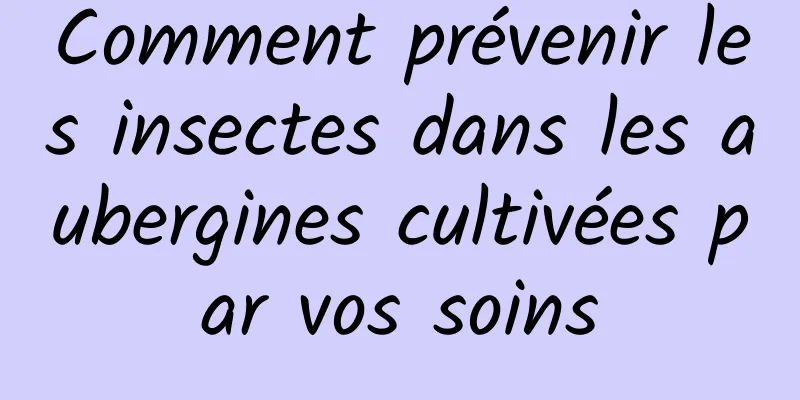 Comment prévenir les insectes dans les aubergines cultivées par vos soins