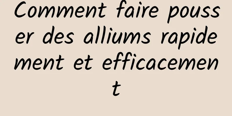 Comment faire pousser des alliums rapidement et efficacement