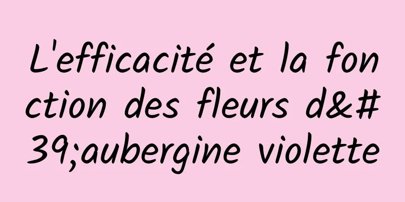 L'efficacité et la fonction des fleurs d'aubergine violette