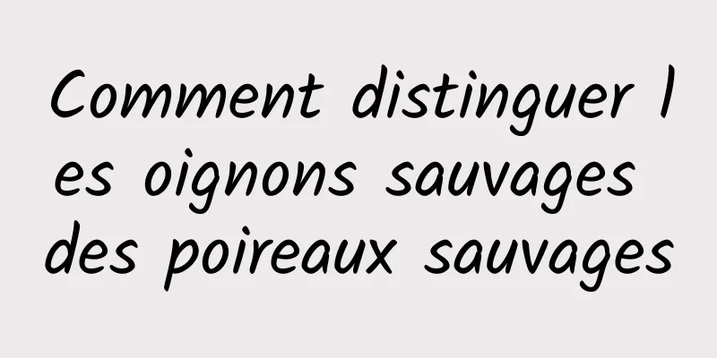 Comment distinguer les oignons sauvages des poireaux sauvages