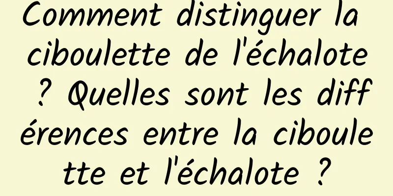 Comment distinguer la ciboulette de l'échalote ? Quelles sont les différences entre la ciboulette et l'échalote ?