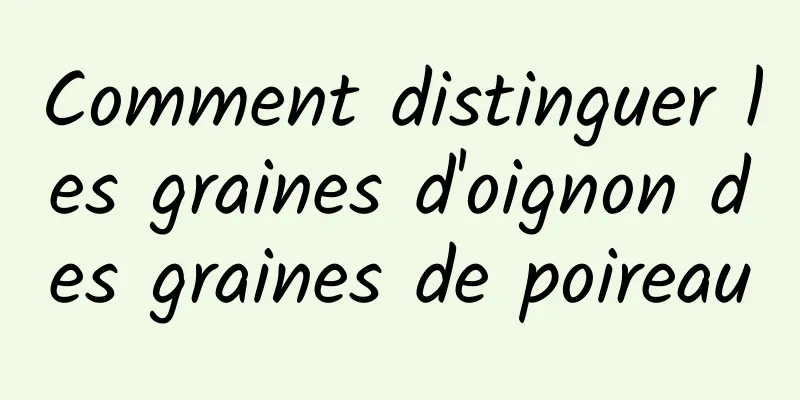 Comment distinguer les graines d'oignon des graines de poireau